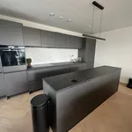 Rent 3 bedroom apartment of 112 m² in Nieuwe Werk