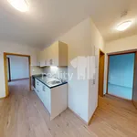 Rent 1 bedroom apartment of 35 m² in Světlá nad Sázavou