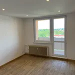 Rent 1 bedroom apartment in Přerov