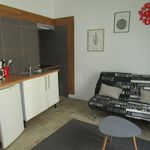 Appartement 14.91 m² - 1 pièce - Carcassonne