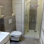 Rent 1 bedroom apartment of 36 m² in Brno