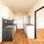 Rent 3 bedroom apartment in Praha 10