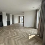 Rent 2 bedroom apartment of 132 m² in Heerlen