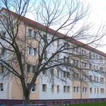 Rent 2 bedroom apartment of 39 m² in Sondershausen