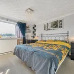 Rent 3 bedroom house in Basingstoke and Deane