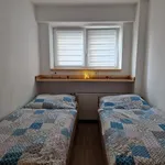 Rent 1 bedroom apartment in Vsetín