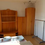 Rent 1 bedroom apartment of 144 m² in Brno