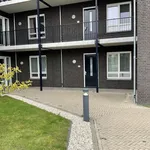 Rent 3 bedroom apartment of 81 m² in Aalst