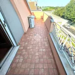 Rent 3 bedroom apartment of 140 m² in Padua