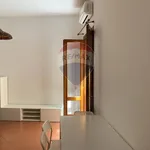 Rent 2 bedroom apartment of 45 m² in Palermo