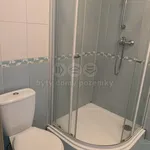 Rent 2 bedroom apartment of 50 m² in Olomouc