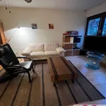 Rent 2 bedroom apartment of 65 m² in Nuremberg