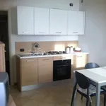 Rent 1 bedroom apartment of 30 m² in Sale Marasino