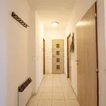 Rent 1 bedroom house of 112 m² in Všeruby