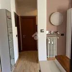 Rent 4 bedroom apartment of 100 m² in Bologna