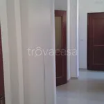 Rent 4 bedroom apartment of 130 m² in Brindisi