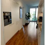 Rent 2 bedroom apartment in Zurich