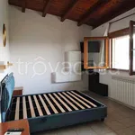 Rent 3 bedroom apartment of 93 m² in Sovicille