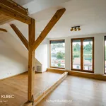 Rent 2 bedroom apartment of 61 m² in Tábor