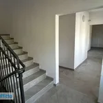 Rent 3 bedroom apartment of 72 m² in Bologna