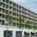 Rent 3 bedroom apartment of 84 m² in Dietikon