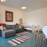 Rent 1 bedroom apartment of 34 m² in Prague