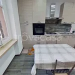 Rent 1 bedroom apartment of 30 m² in Torino