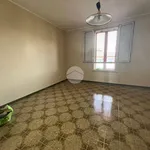 Rent 3 bedroom apartment of 71 m² in Palermo