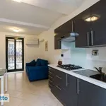 Rent 2 bedroom apartment of 50 m² in Turin