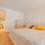 Rent 2 bedroom apartment of 65 m² in Torino