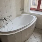 Rent 1 bedroom apartment in Hradec Králové