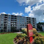 Rent 2 bedroom apartment in Kingston