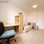 Rent 1 bedroom apartment of 20 m² in Brno-Žabovřesky