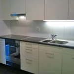 Rent 5 bedroom apartment of 100 m² in Embrach