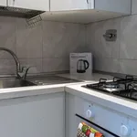 Rent 1 bedroom apartment in rome