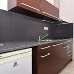 Rent 1 bedroom apartment of 37 m² in Brno