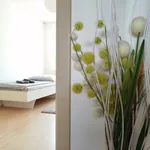 Rent 2 bedroom apartment of 77 m² in Prague