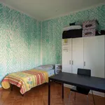 Rent a room of 110 m² in rome