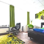 Miete 1 Schlafzimmer wohnung von 23 m² in Frankfurt