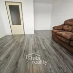 Rent 1 bedroom apartment of 31 m² in Břidličná