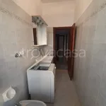 Rent 5 bedroom apartment of 100 m² in Bologna