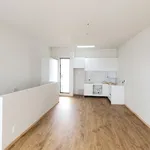 Rent 3 bedroom apartment in Auckland