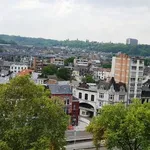 Rent 1 bedroom apartment in Liège