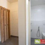 Pronajměte si 10 ložnic/e byt o rozloze 38 m² v Prague