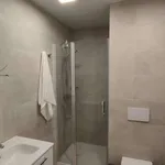 Rent 1 bedroom apartment in zaragoza