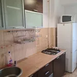 Rent 1 bedroom apartment of 35 m² in Timisoara