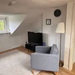 Rent 1 bedroom apartment of 45 m² in Frankfurt