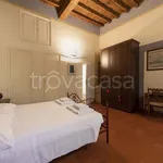 Rent 2 bedroom apartment of 60 m² in Firenze