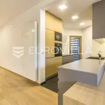 Rent 3 bedroom apartment of 150 m² in Zagreb