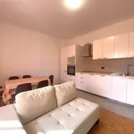 Rent 3 bedroom apartment of 70 m² in Forlì